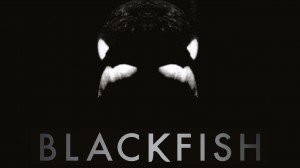 Blackfish