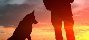 always faithful documentary